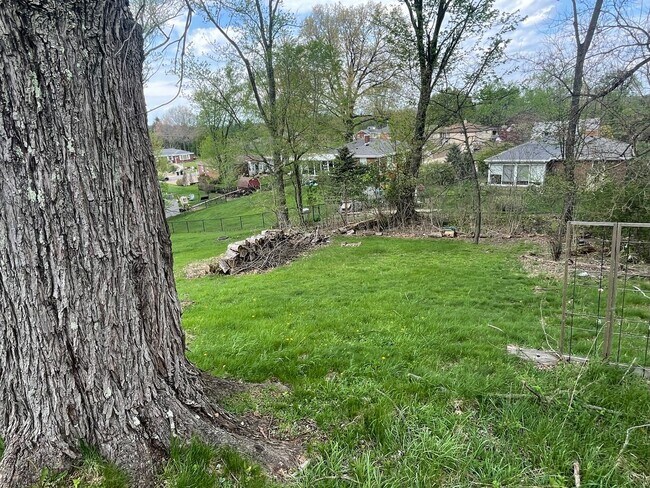 Building Photo - 533-535 Cumberland Rd (159)