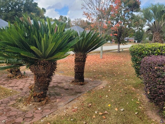 Building Photo - 101 Pamlico Ct