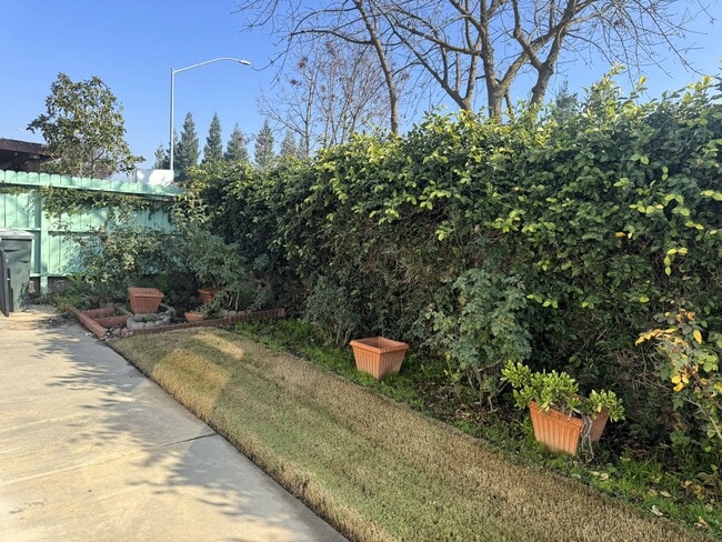 Building Photo - 10824 N Bunker Hill Dr