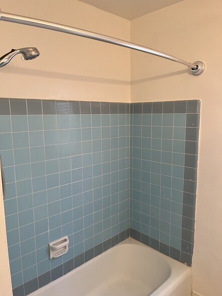 Bathtub 1 - 3171 S Barrington Ave