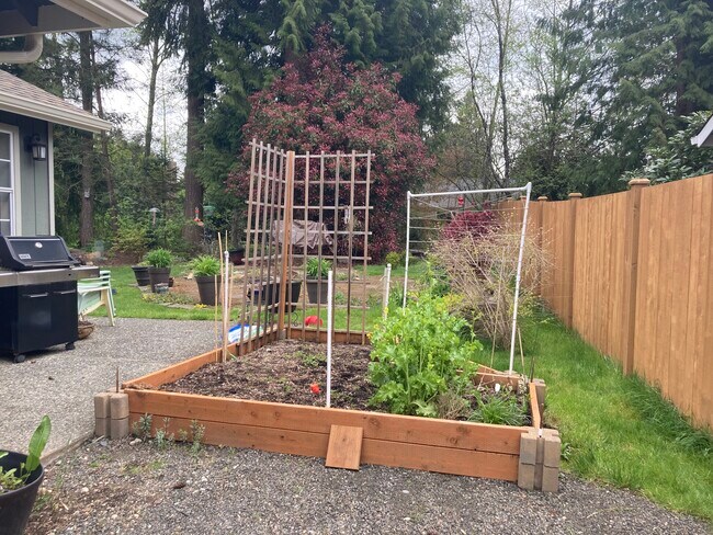 Garden & patio w/ Gas Grill - 14217 55th Ave SE