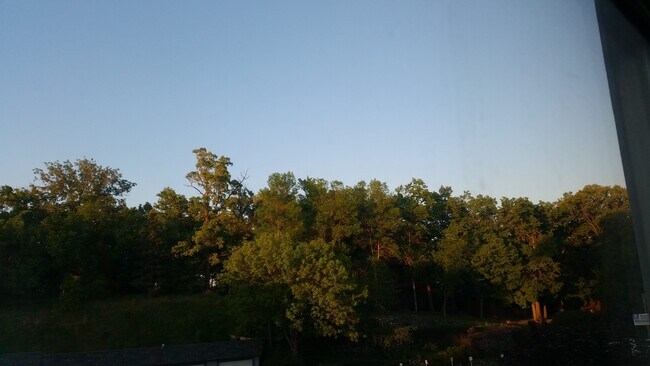 Building Photo - 315 Park Lake Blvd