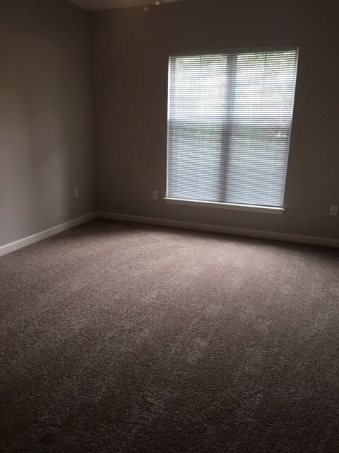 Building Photo - First Floor Condo in Cornelius-2 Bedrooms ...