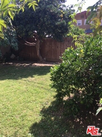 back yard - 4026 Ingraham St