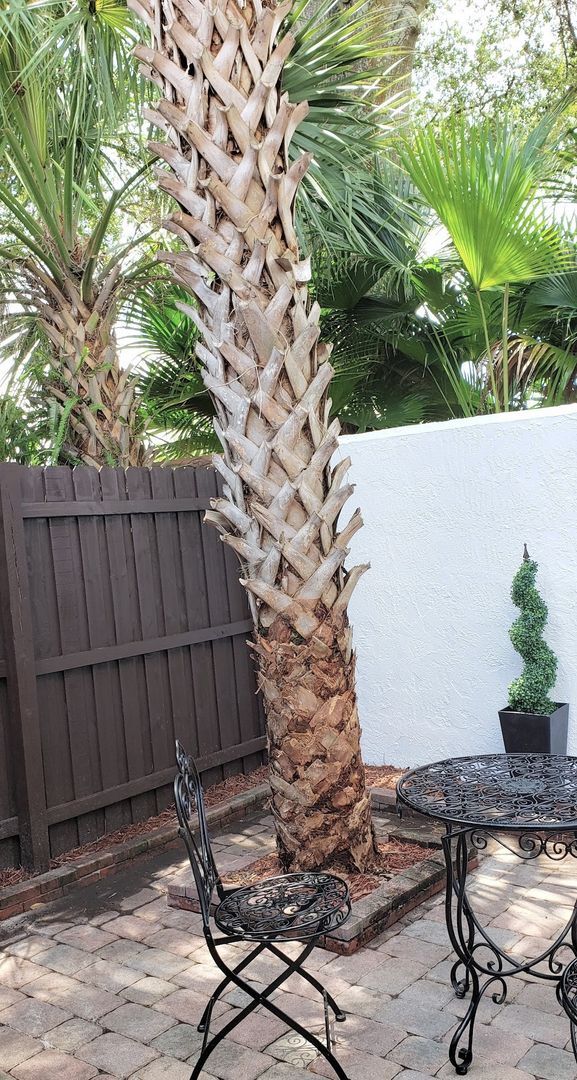 Building Photo - Beautiful  Furnished 1/1 condo x Rent  in Winter Park Next to Full Sail University !