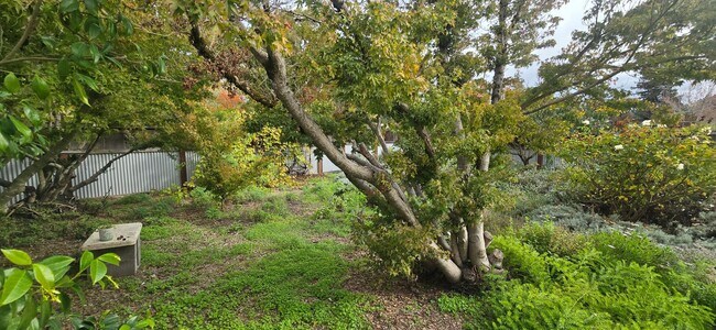Building Photo - Beautiful Home With Incredible Views