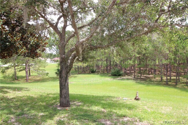 Building Photo - 1600 W Spring Meadow Loop