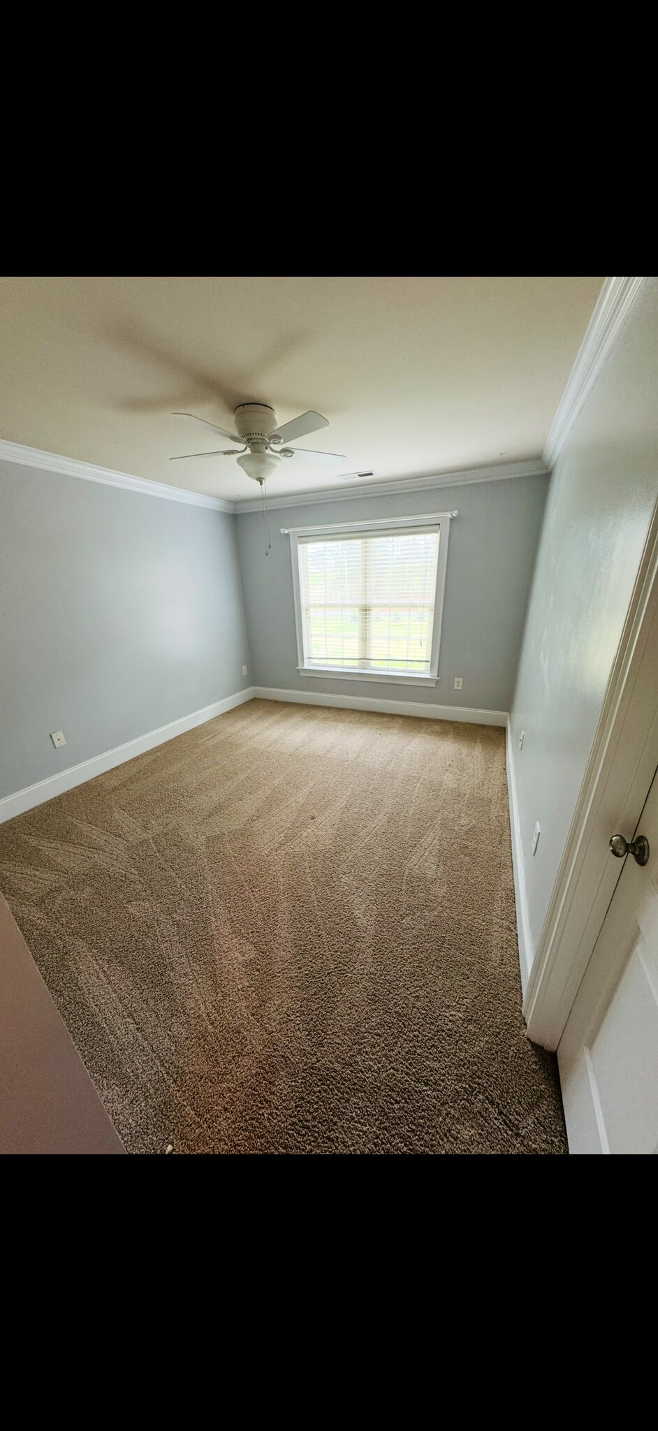 Building Photo - 329 Stumpy Creek Rd