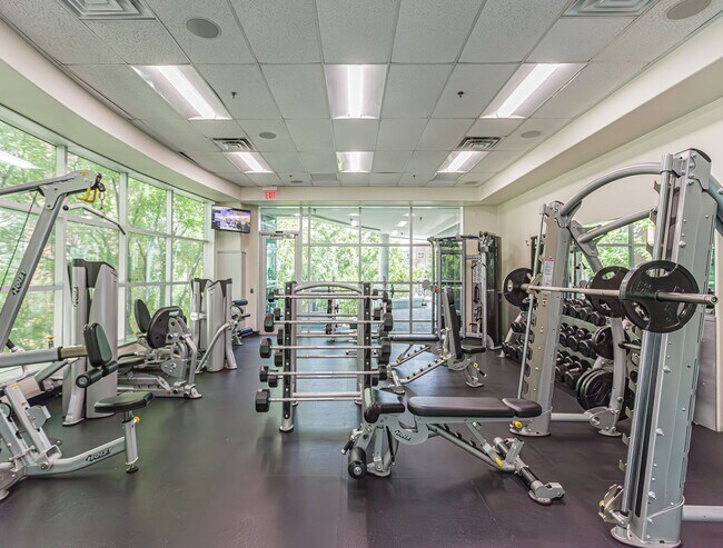 Building Photo - Top Floor 2 Bedroom Condo Located in Manhattan