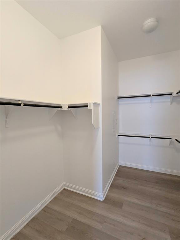 Building Photo - 4217 Buckskin
