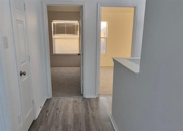 Building Photo - 4844 Carrotwood Dr