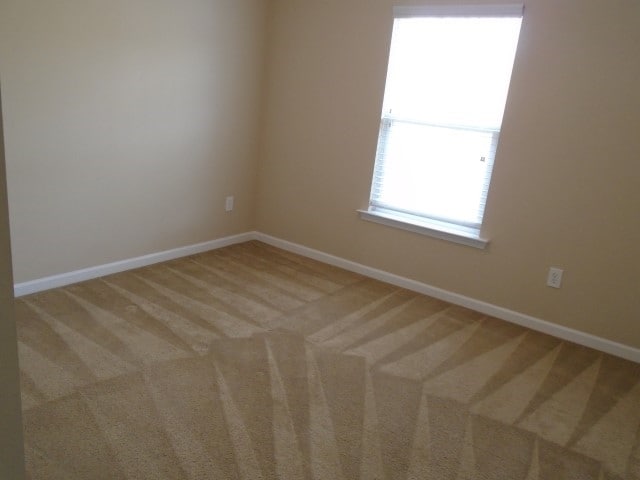 Building Photo - 211 Brookhaven Ct