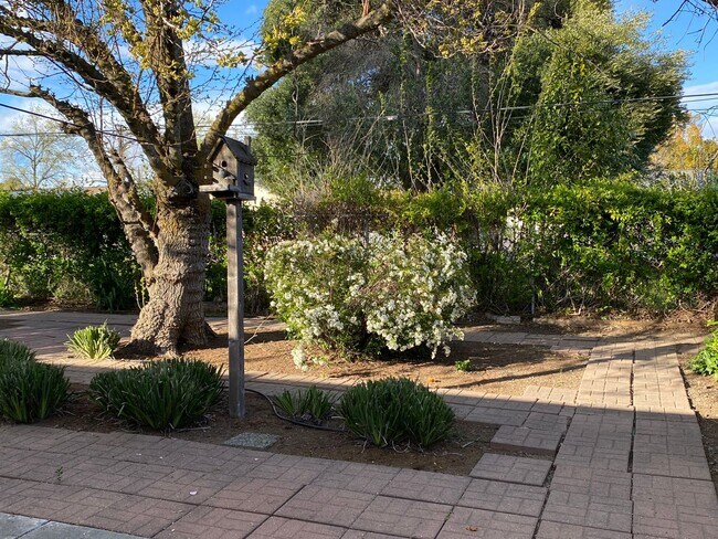Building Photo - 55 and over located in Leisure Town! Updated home throughout! Beautiful backyard!