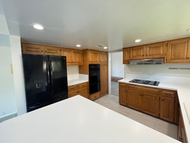 Building Photo - 4 Bed 3 Bath in Del Cerro