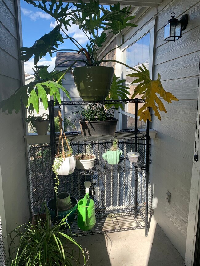 Building Photo - 4200 Watson St