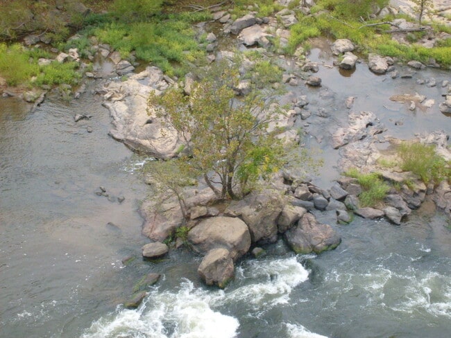 Building Photo - One Bedroom Condo Overlooking the James Ri...