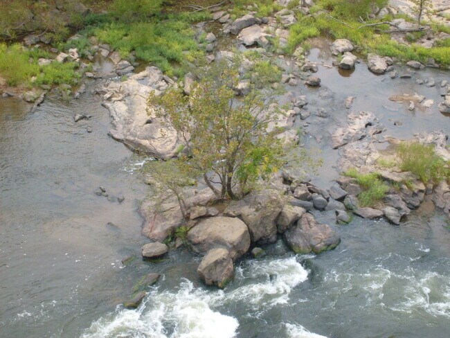 Building Photo - One Bedroom Condo Overlooking the James River in Richmond