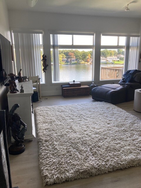 Living room occupied - 231 Lake Ave
