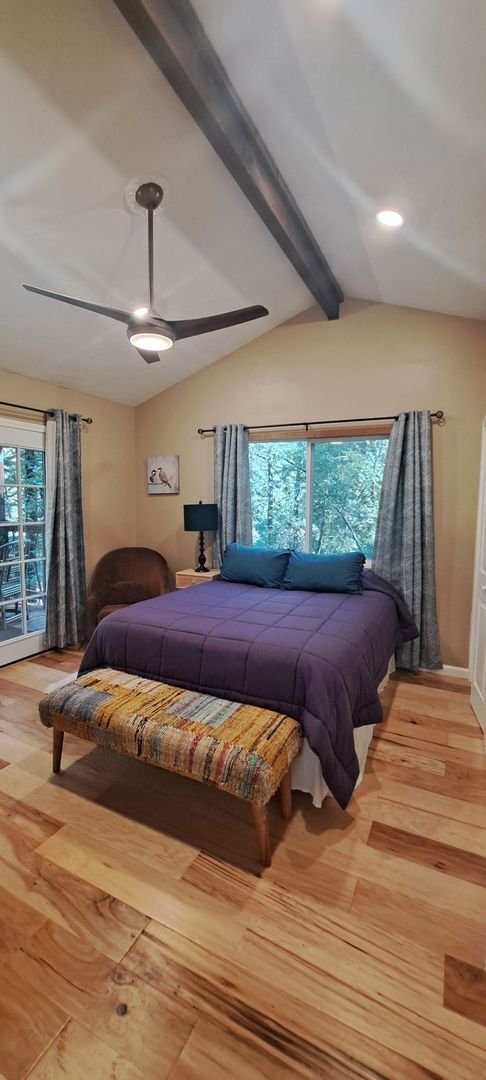 Building Photo - Sunlit Sanctuary in the Redwoods