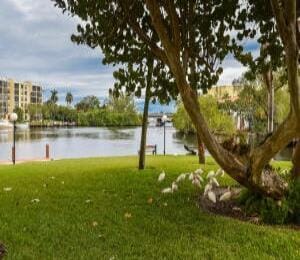 Building Photo - 12 Royal Palm Way