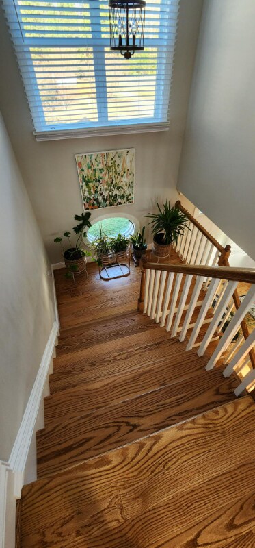 Building Photo - 8148 Beckwith Dr