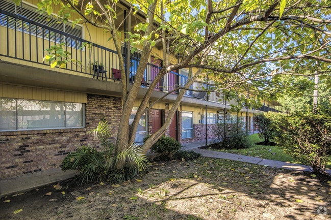 Building Photo - The Shavelson