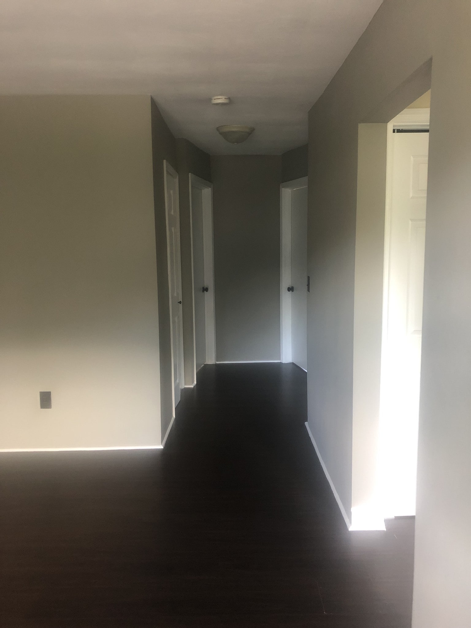 hallway - 730 Clevio St