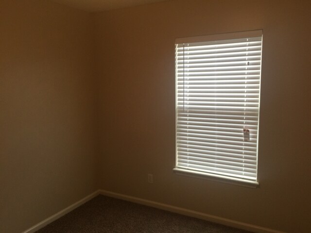 Building Photo - 4406 Hanging Moss Dr