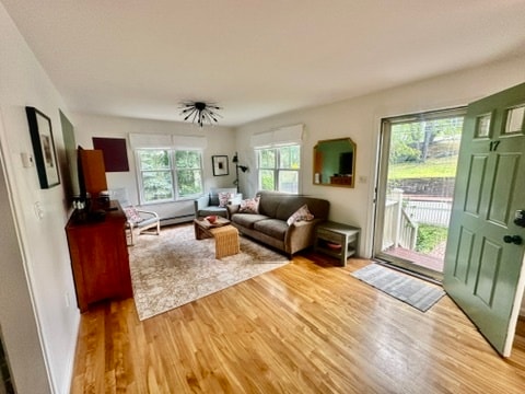 Building Photo - 19 Beech Glen St