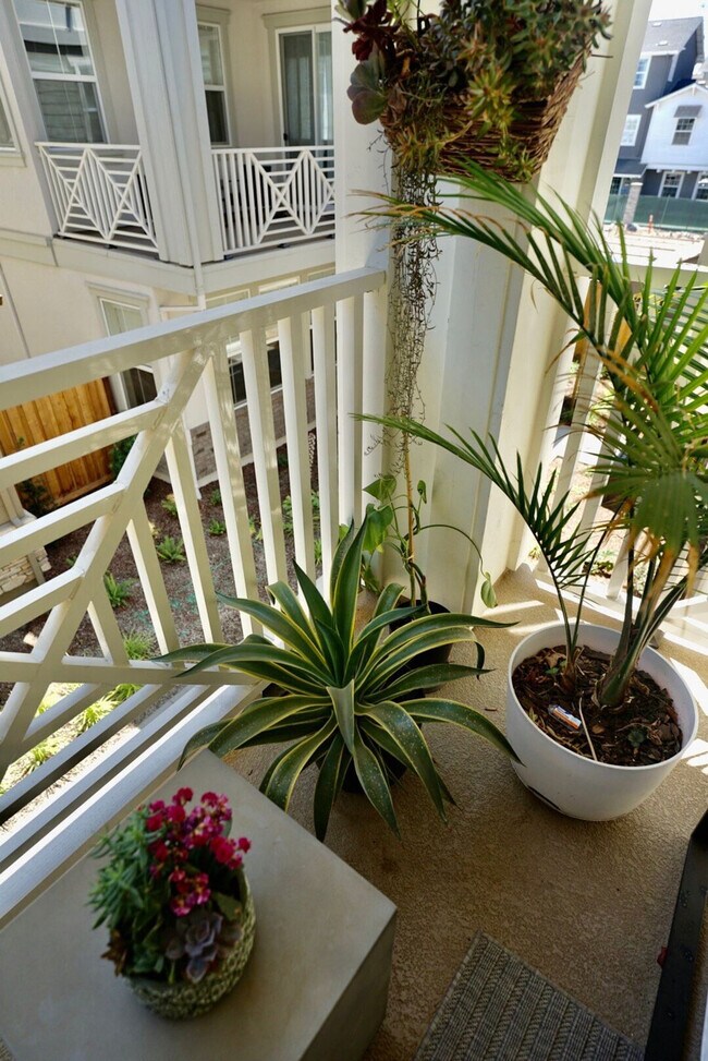 Building Photo - 37654 Cape Cod Rd