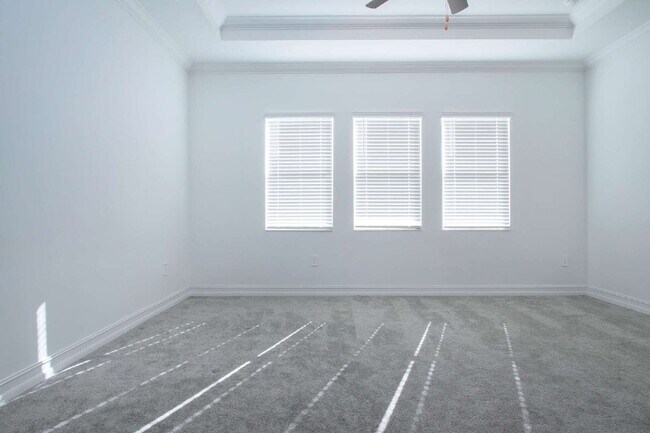 Building Photo - Spacious Like New 4-Bedroom Oasis with 3 Full Baths in Palmetto - Available NOW