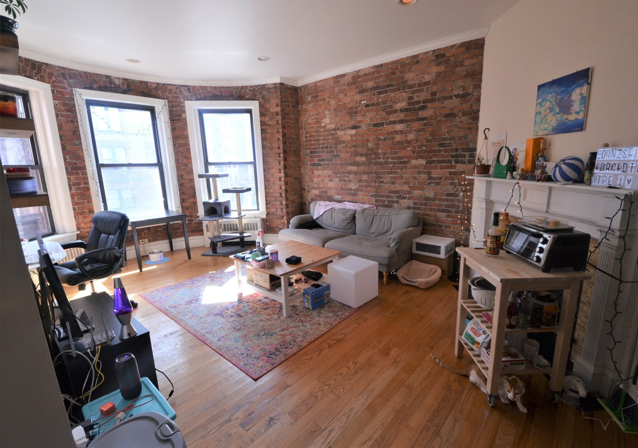 Building Photo - 407 Marlborough St