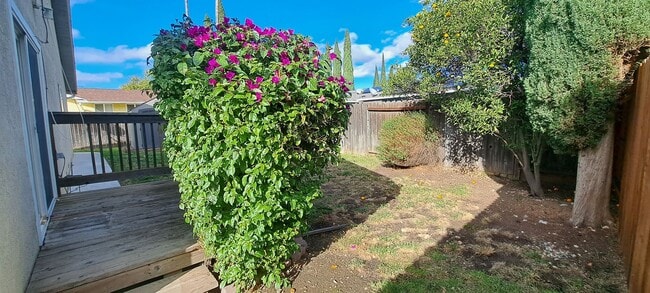 Building Photo - Wow this Charmer has 4 Bedrooms with 2 Primary Bedrooms w/Full Bathrooms