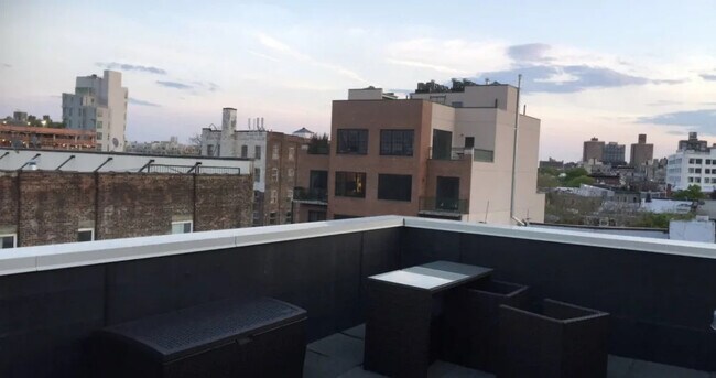 Roof Deck - 35 Havemeyer St