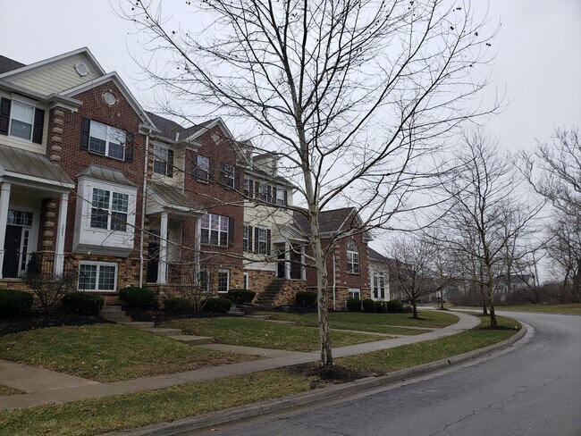 Building Photo - 1059 Bluffway Dr