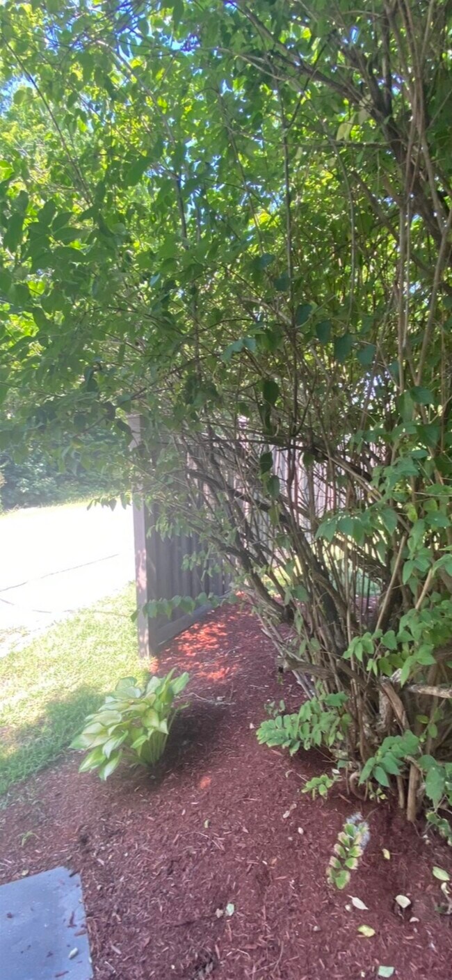 Building Photo - 36 Western Ave