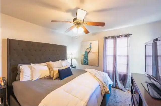 Building Photo - 1123 S Tottenham Ct