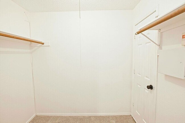 Building Photo - 1379 Honeysuckle Ln