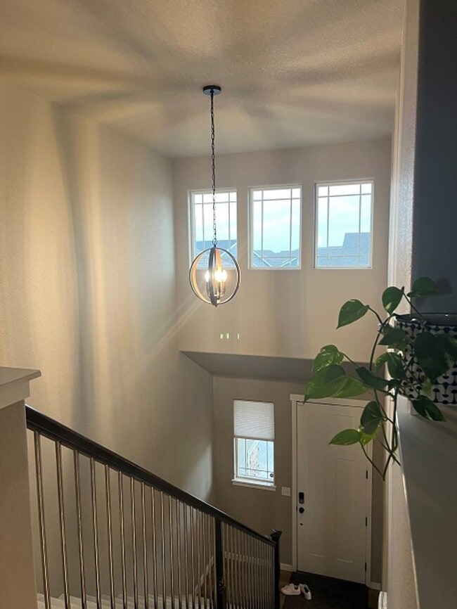 Building Photo - Elegant & Spacious Living in Timnath Ranch