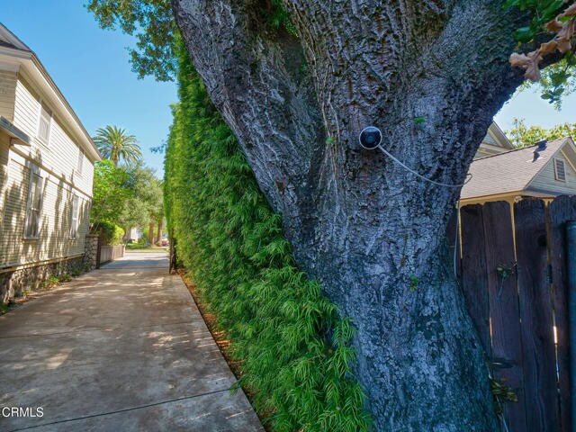 Building Photo - 475 Cypress Ave