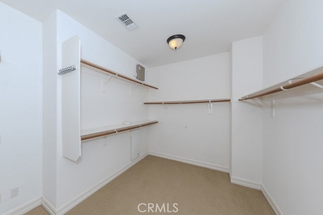 Building Photo - 3811 Belgain Ln