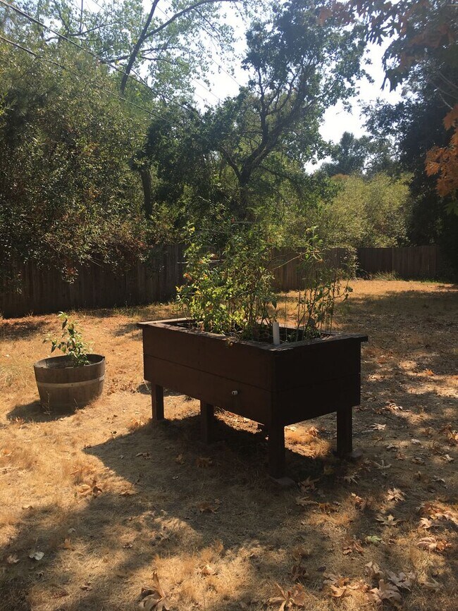 Building Photo - Rincon Valley Three Bedroom Home