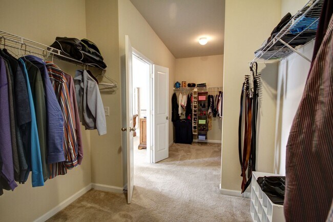 Building Photo - Stunning 4 bedroom in Park West - Mt. Pleasant