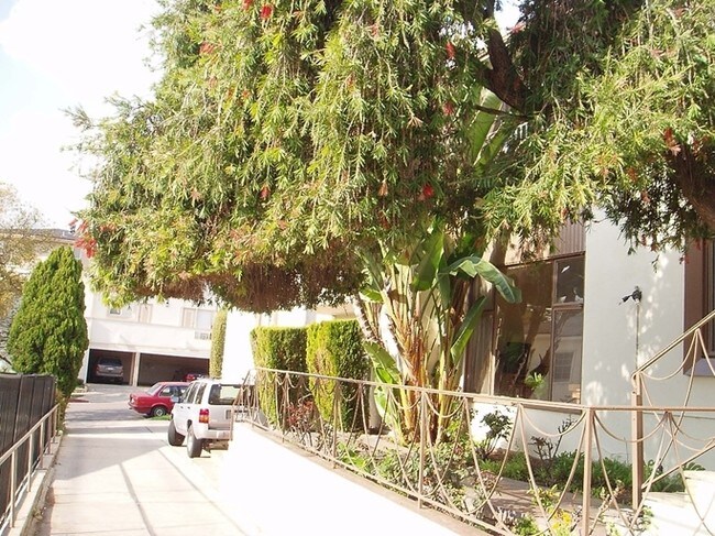 Building Photo - 556-558 Midvale Ave