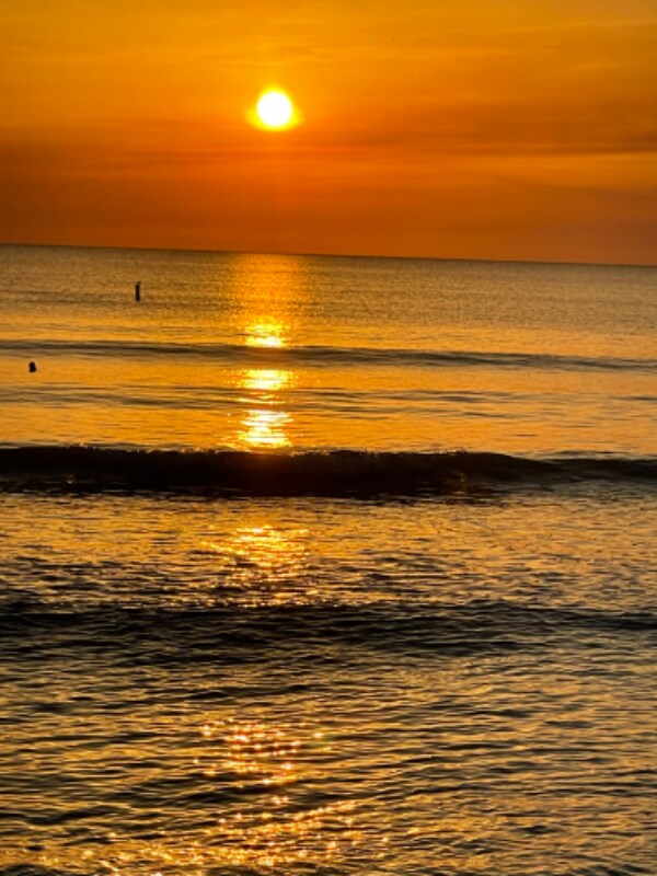 Building Photo - 24769 Paradise Rd