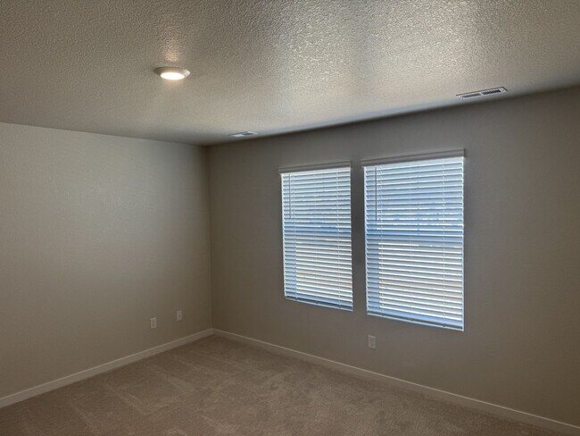 Building Photo - Stunning Brand New Home Close To Lowry & DIA