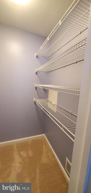 Building Photo - 8202 Catbird Cir