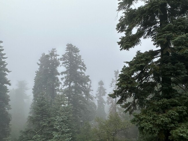 Building Photo - Rental Twin Peaks