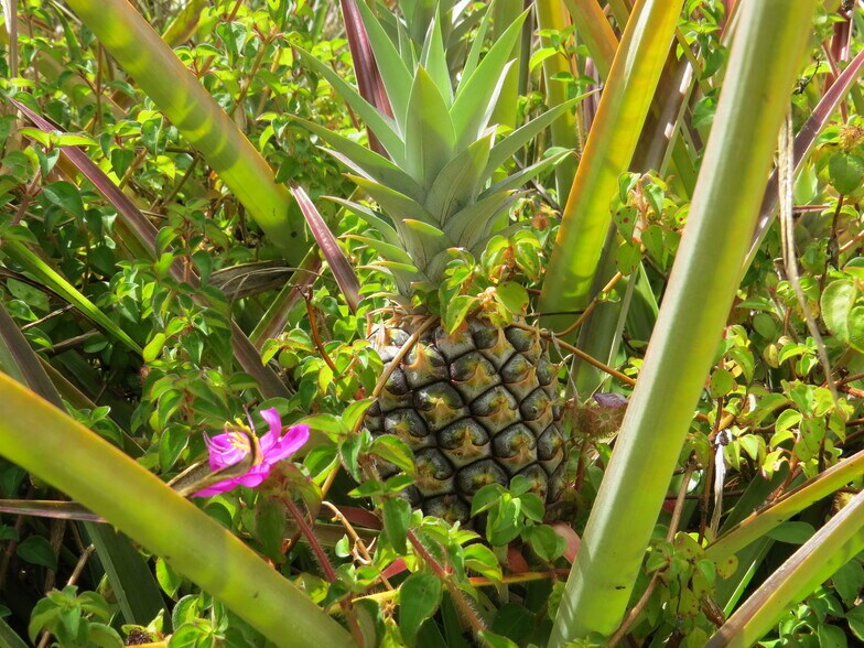 Building Photo - 15-1414 24th Ave