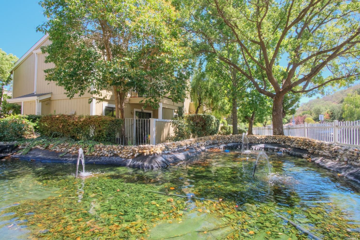 Soothing water feature in back - 15 Hector Ln